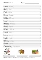 DSS_2S_Bu_e_Nr_11.pdf